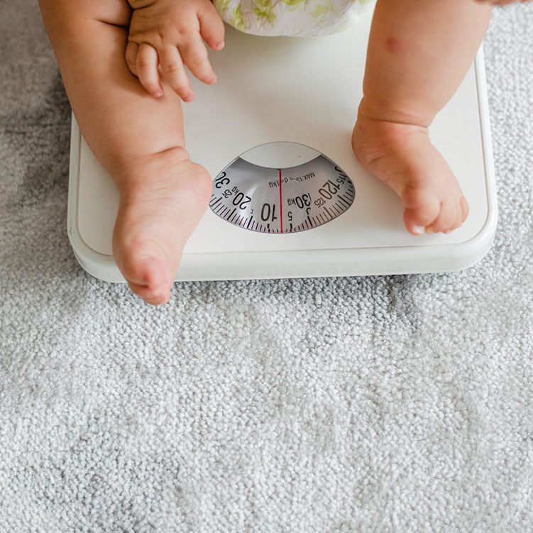 10 factores importantes al usar el indicador digital de peso